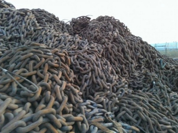Bridle Chains for Sale