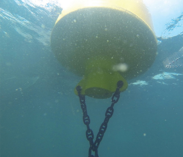 Top Buoy Chains Manufacturers and Suppliers in Japan