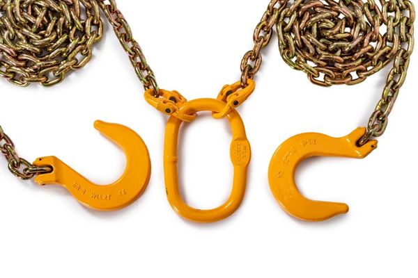 Bridle Chain